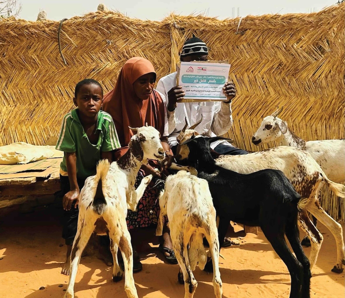 تنفيذ مشروع 